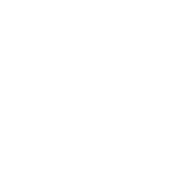 Logo Anglo